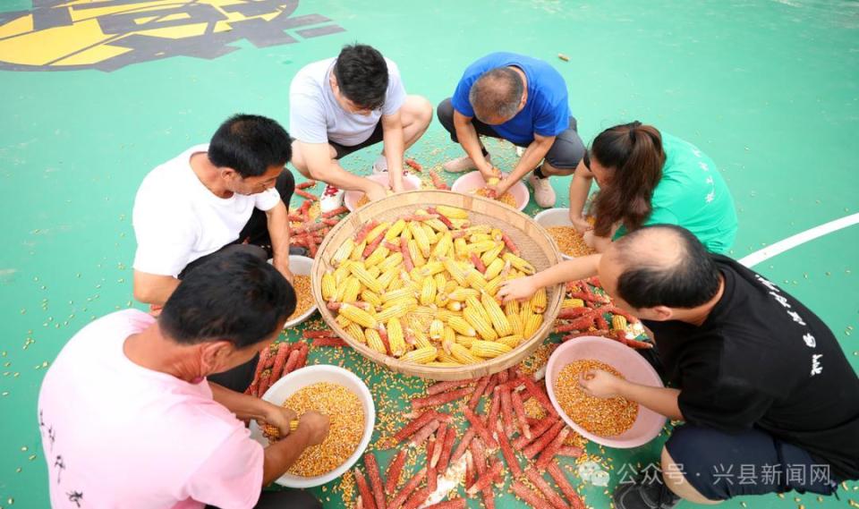 仅让赛场充, 农事与竞技, 我将继续参