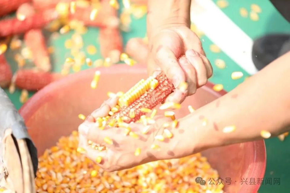 明灯, 设上