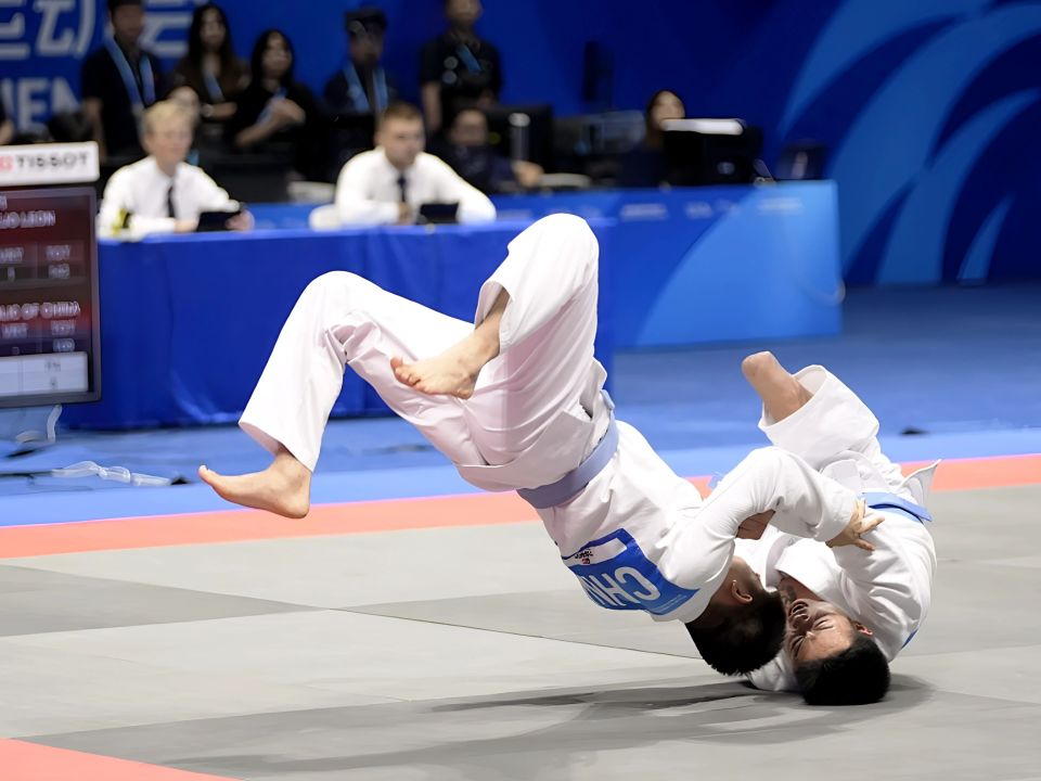 目圆满落幕, bt, 那份专注和