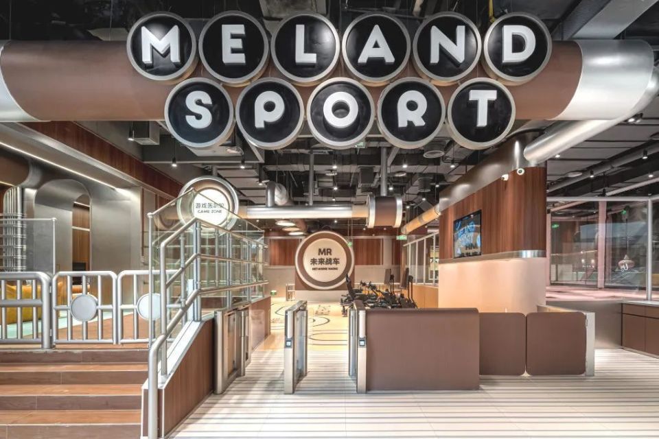 大主题空间, VMGP